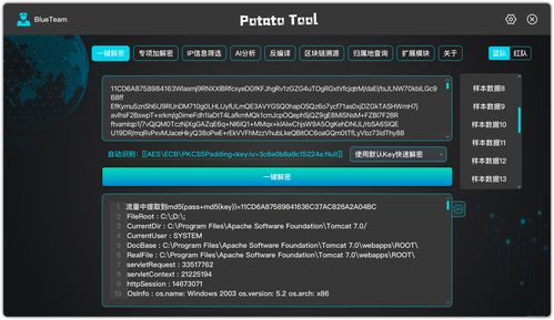 一鍵解密 網(wǎng)絡(luò)與信息安全軟件開發(fā)的新紀(jì)元
